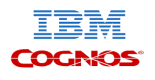 IBM Cognos Training in South Africa