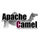 Apache Camel Training in South Africa