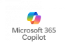 Category for Microsoft 365 Copilot Training in South Africa