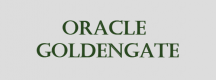Oracle GoldenGate Training in South Africa