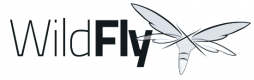 Wildfly Training in South Africa